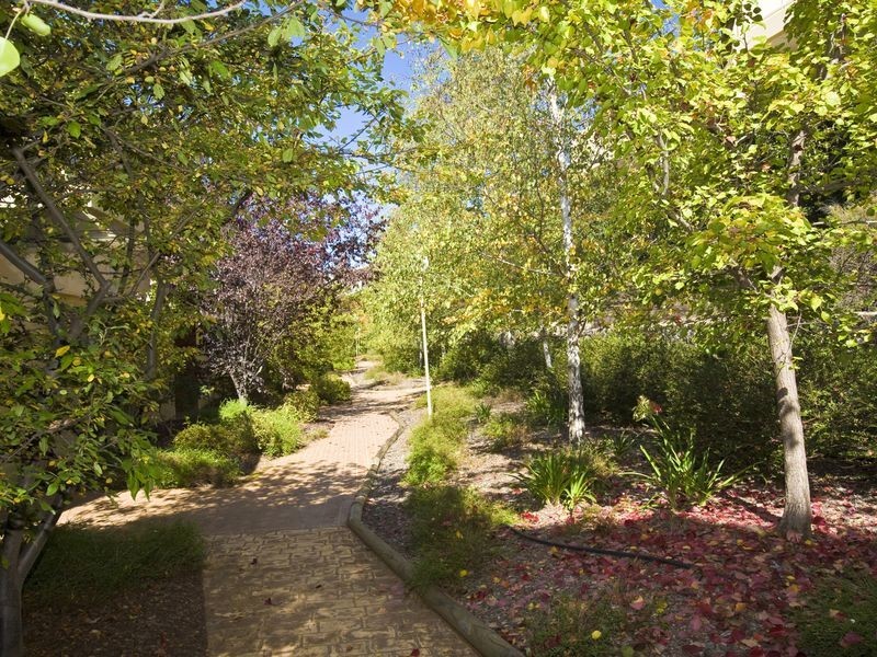 3/45 Leahy Close, Narrabundah ACT 2604