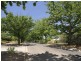 41 Jansz Crescent, Griffith ACT 2603