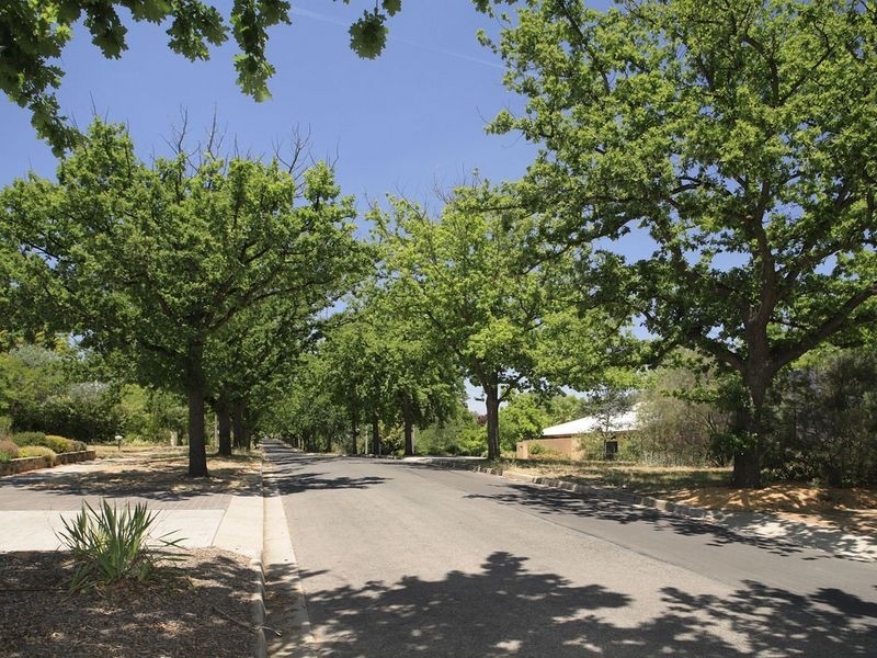 41 Jansz Crescent, Griffith ACT 2603