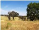 182 Dairy Creek Road, Gundaroo NSW 2620