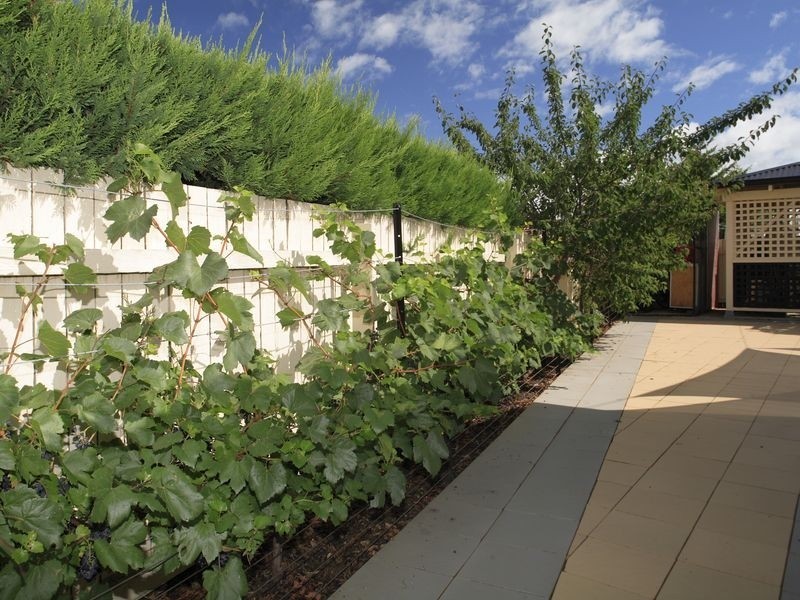 10 Tarrant Crescent, Dunlop ACT 2615