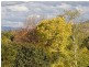 46 Fitchett Street, Garran ACT 2605