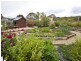 86 Freshford Road, Tharwa ACT 2620