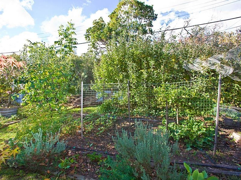 49 Gilmore Crescent, Garran ACT 2605