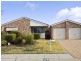 29 Windradyne Street, Ngunnawal ACT 2913