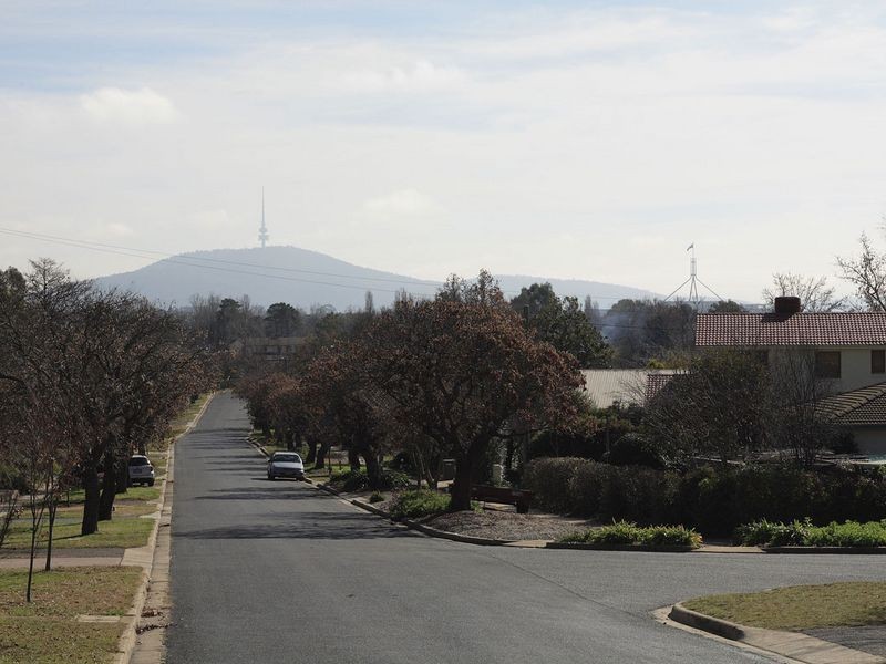 43 Carstensz Street, Griffith ACT 2603