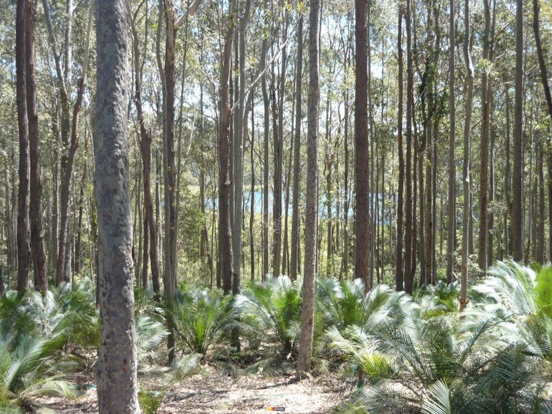 Lot 54 Sandy Place, Long Beach NSW 2536