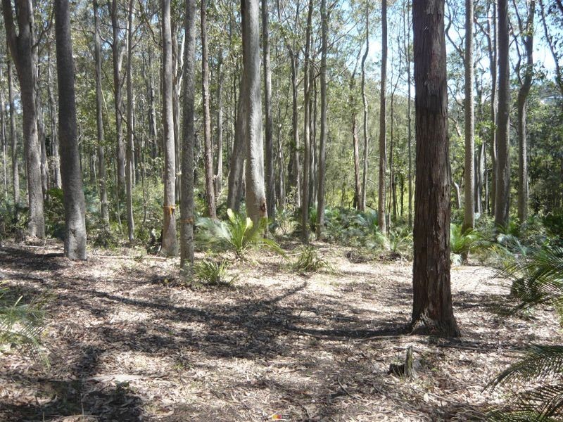 Lot 54 Sandy Place, Long Beach NSW 2536