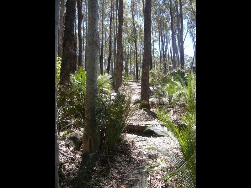 Lot 54 Sandy Place, Long Beach NSW 2536
