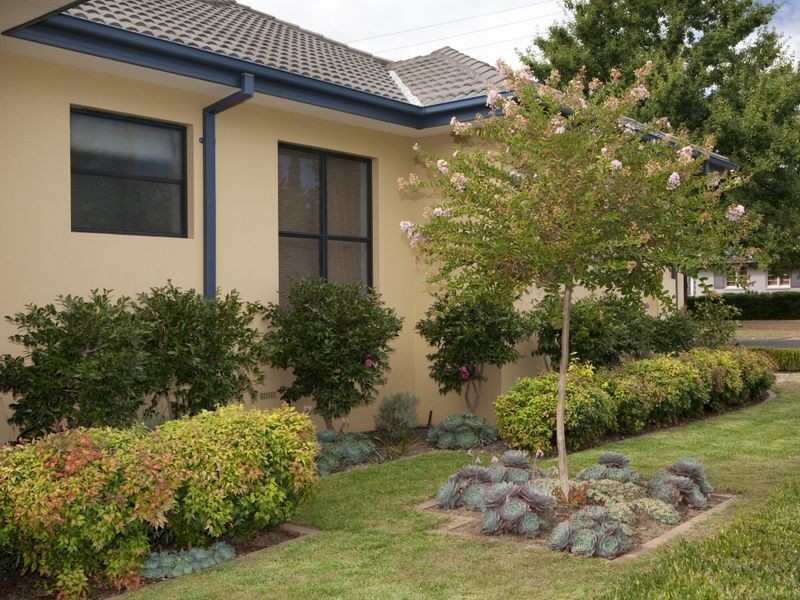 37 Macgregor Street, Deakin ACT 2600
