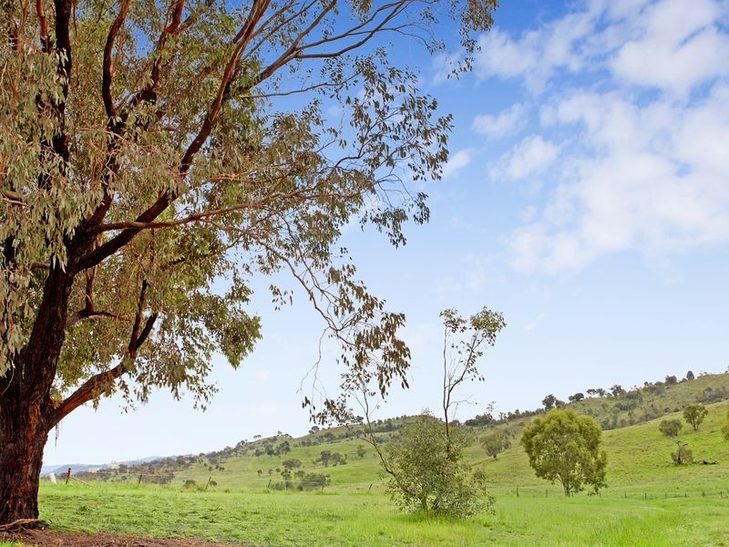 86 Allchin Circuit, Kambah ACT 2902