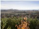 14 Lobelia Close, Jerrabomberra NSW 2619