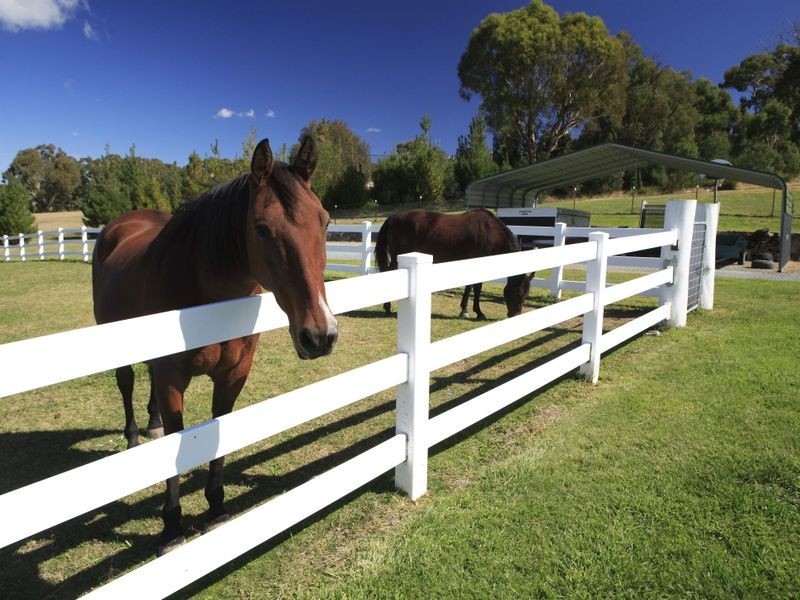 99 Goolabri Drive, Sutton NSW 2620