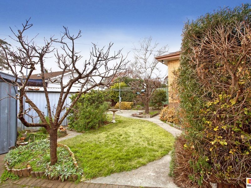 56 Pandanus Street, Fisher ACT 2611