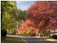 14 Fishburn Street, Red Hill ACT 2603