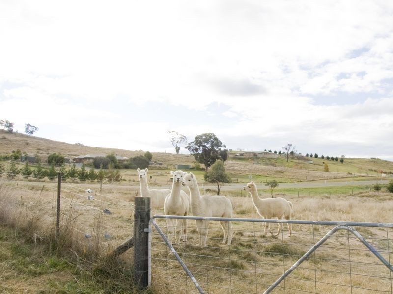 32 Spur Place, Royalla NSW 2620