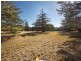 17 Bass Gardens, Griffith ACT 2603