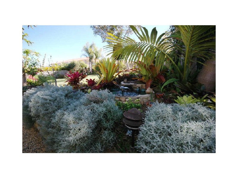 Port Macquarie NSW 2444