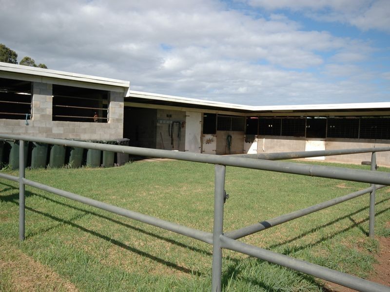 17 Racewyn Close, Port Macquarie NSW 2444