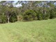 King Creek NSW 2446