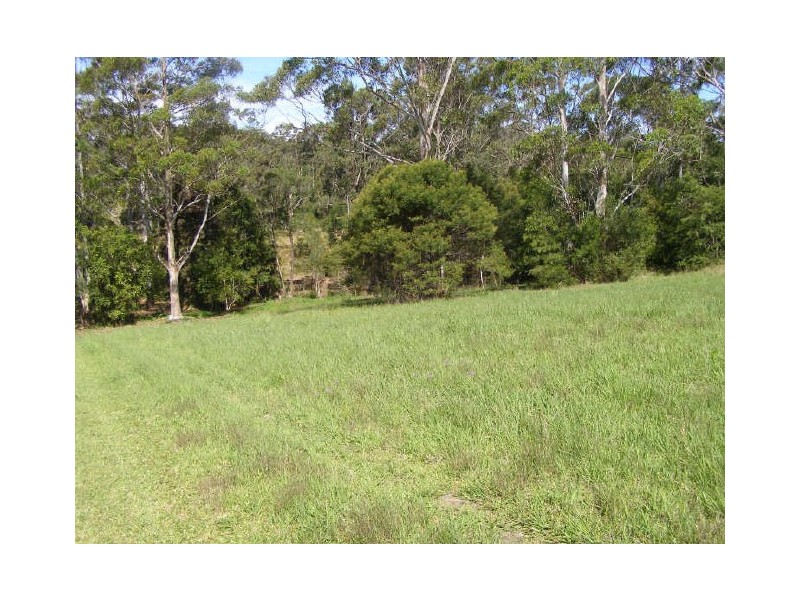 King Creek NSW 2446