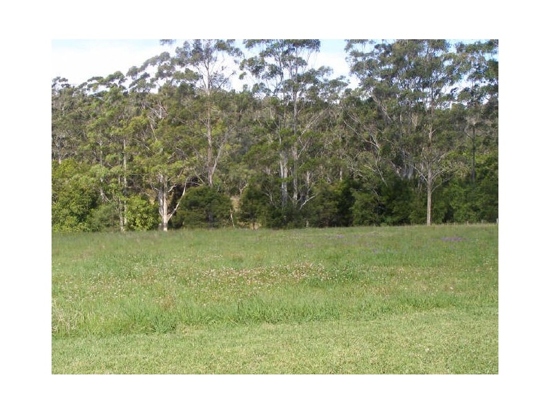 King Creek NSW 2446