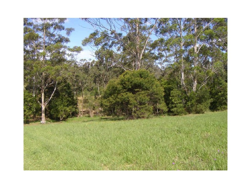 King Creek NSW 2446