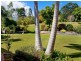 17 Paperbark Place, Port Macquarie NSW 2444