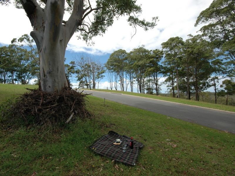 64 Yaluma Drive, Port Macquarie NSW 2444