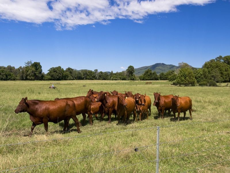 1835 Oxley Highway, Wauchope NSW 2446