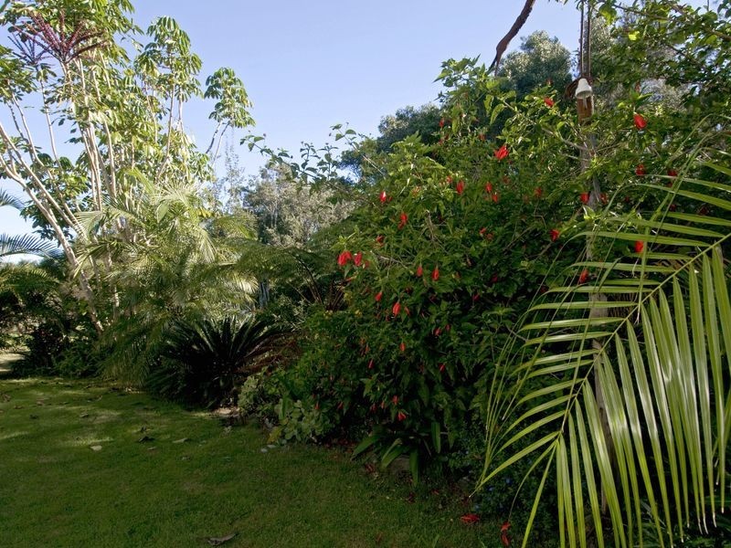 327 Plomer Road, Port Macquarie NSW 2444