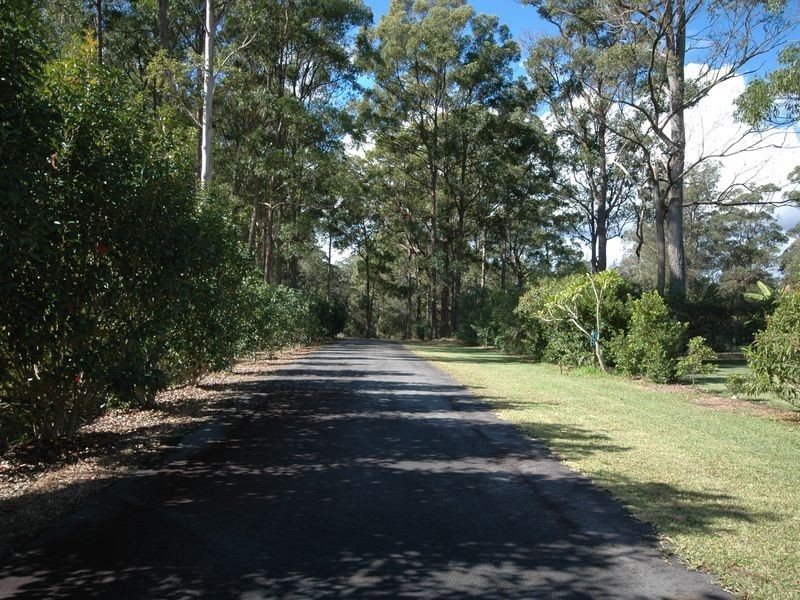 239a King Creek Road, King Creek NSW 2446