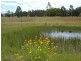 126 Riverside Drive, Port Macquarie NSW 2444