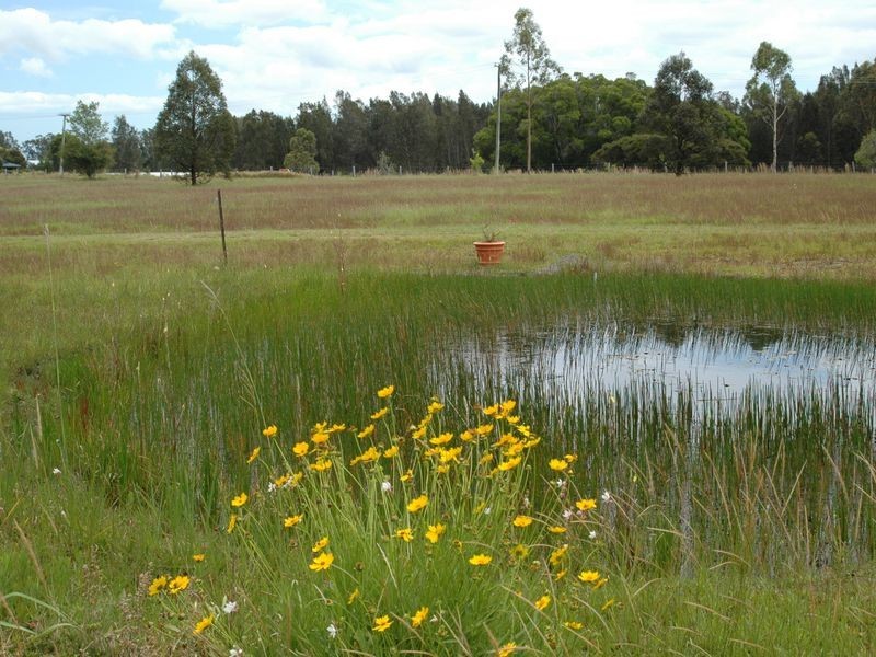 126 Riverside Drive, Port Macquarie NSW 2444