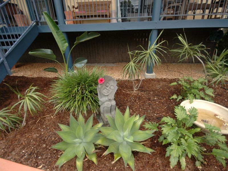 4 Girraween Road, Port Macquarie NSW 2444