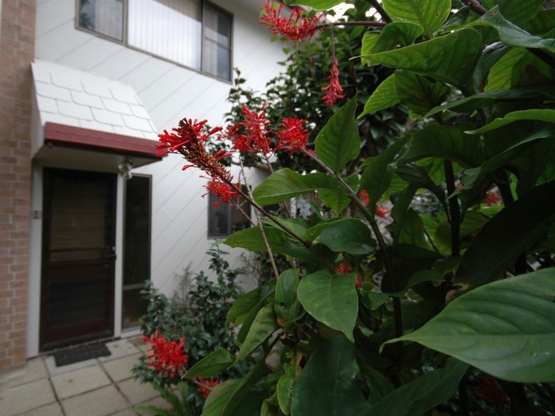5/23 Denham Street, Port Macquarie NSW 2444