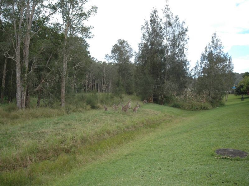 1/71 Marian Drive, Port Macquarie NSW 2444