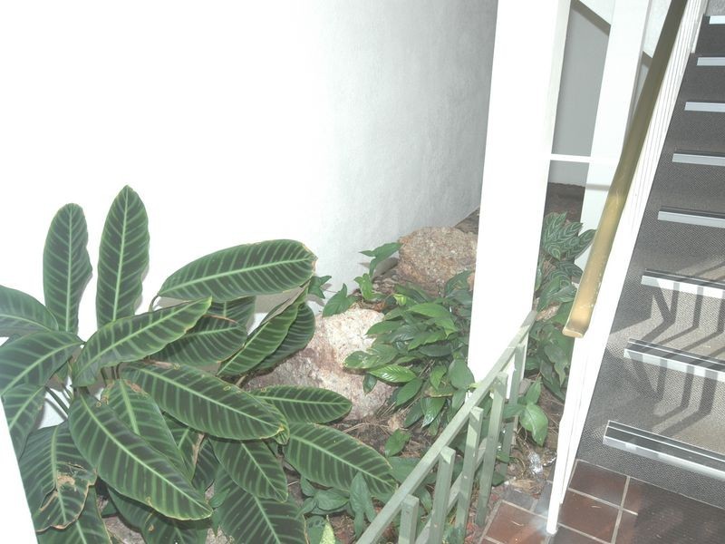 2/19 Waugh Street, Port Macquarie NSW 2444