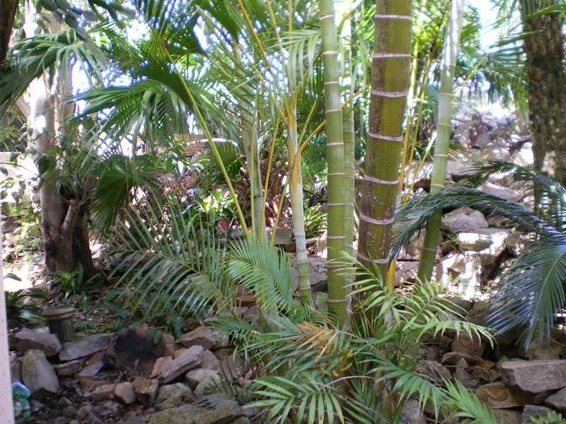 25 Pettit Street, Port Macquarie NSW 2444