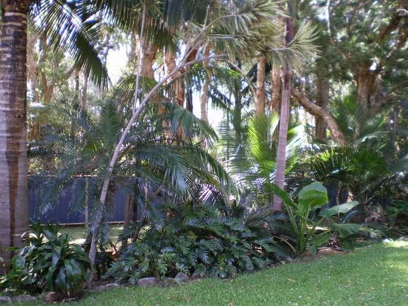 25 Pettit Street, Port Macquarie NSW 2444