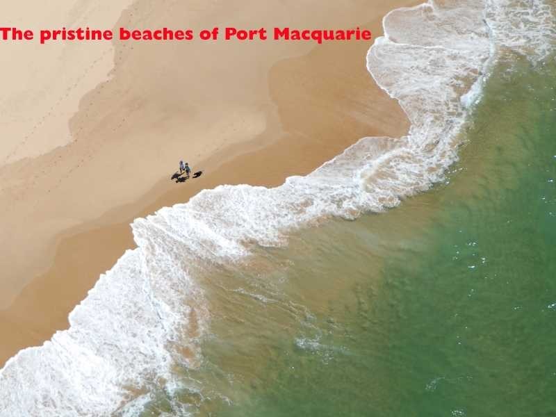 21 Harbourside Crescent, Port Macquarie NSW 2444