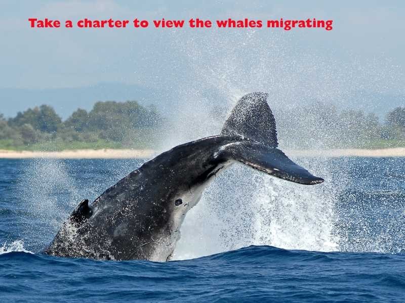 27 Harbourside Crescent, Port Macquarie NSW 2444