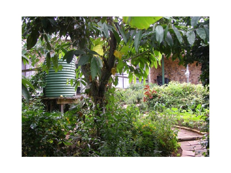 212 Granite Street, Port Macquarie NSW 2444