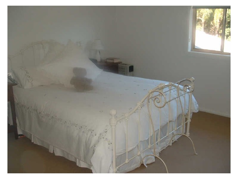 22 Rushcutter Way, Port Macquarie NSW 2444
