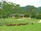 Rollands Plains NSW 2441