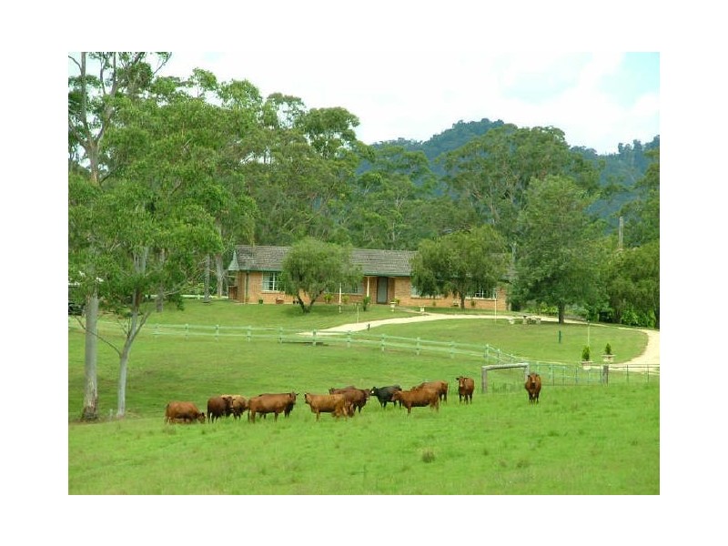Rollands Plains NSW 2441