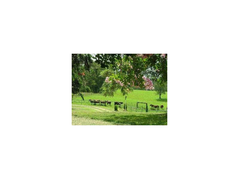 Rollands Plains NSW 2441