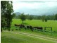 Rollands Plains NSW 2441