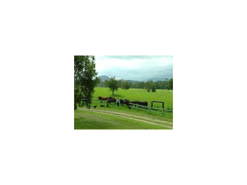 Rollands Plains NSW 2441