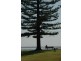 2/10 William Street, Port Macquarie NSW 2444